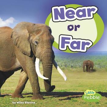 Paperback Near or Far Book