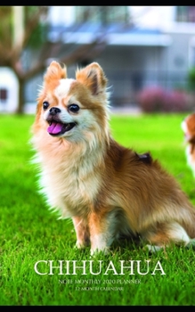 Paperback Chihuahua Note Monthly 2020 Planner 12 Month Calendar Book