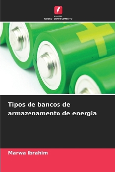 Tipos de bancos de armazenamento de energia (Portuguese Edition)