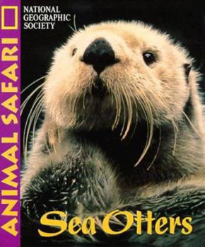 Board book Animal Safari - Sea Otters Book