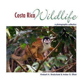 Paperback Costa Rica Wildlife: A Photographic Collection Book