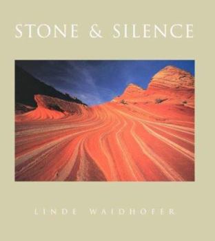Paperback Stone & Silence Book