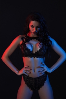 Paperback The Blue Viper Files Book