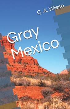 Paperback Gray Mexico Book