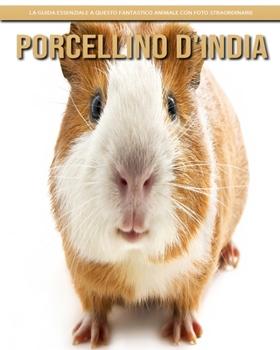 Porcellino D'India: la guida essenziale a questo fantastico animale con foto straordinarie