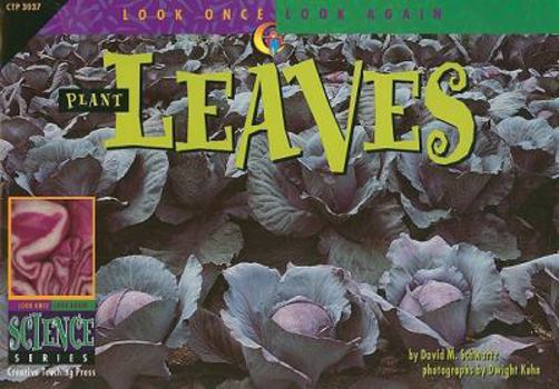 Paperback Look Once, Look Again: Plant Leaves Book