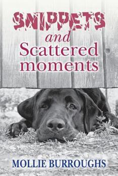 Paperback Snippets and Scattered moments Book