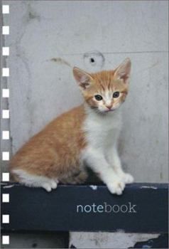 Hardcover Kitten at Play Mini Notebook Book