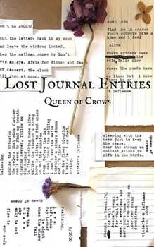 Paperback Lost Journal Entries Book