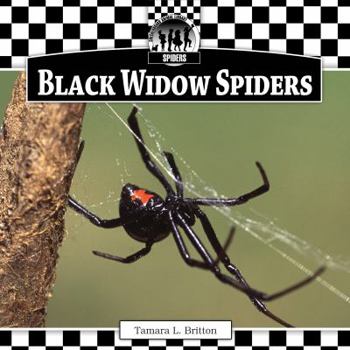 Library Binding Black Widow Spiders Book