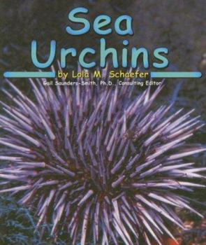 Sea Urchins (Ocean Life) - Book  of the Pebble Books: Ocean Life