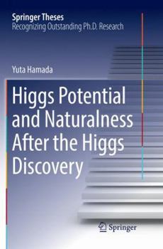 Paperback Higgs Potential and Naturalness After the Higgs Discovery Book