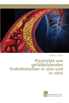Paperback Plastizität von gefäßbildenden Endothelzellen in vivo und in vitro [German] Book