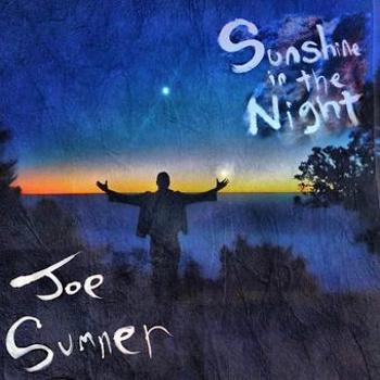 Vinyl Sunshine In The Night (Lp) Book