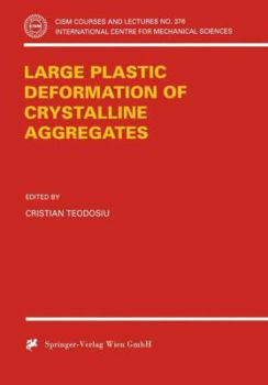 Paperback Large Plastic Deformation of Crystalline Aggregates Book