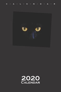 schwarze Katzenaugen Calendar 2020: Annual Calendar for Cat and animal lovers