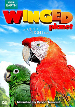 DVD Winged Planet Book