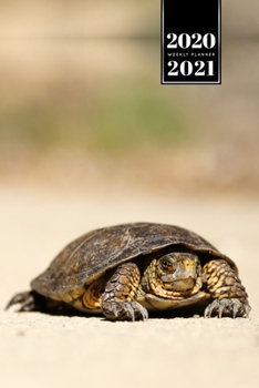 Sea Turtle Tortoise Terrapin Week Planner Weekly Organizer Calendar 2020 / 2021 - Sunbathing on Beach: Cute Wildlife Animal Pet Bullet Journal Notebook Diary in 6” x 9” Inch Pocket Size
