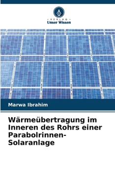 Wärmeübertragung im Inneren des Rohrs einer Parabolrinnen-Solaranlage (German Edition)