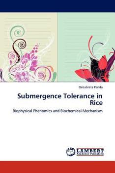 Paperback Submergence Tolerance in Rice Book