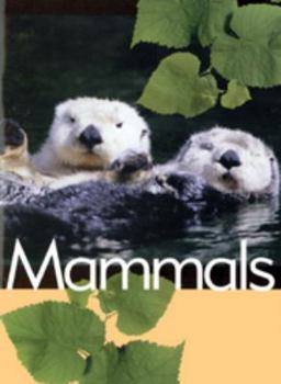 Hardcover Mammals (Animal Facts) Book