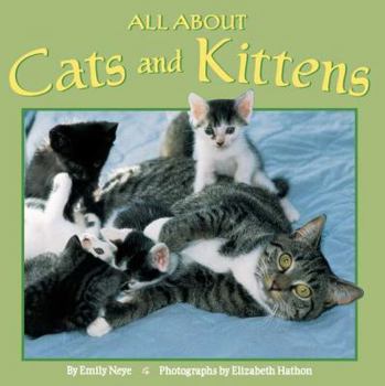Paperback All about Cats and Kittens Book