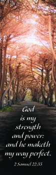 Bookmark My Strength Bookmark (Pkg 25) Inspirational Book
