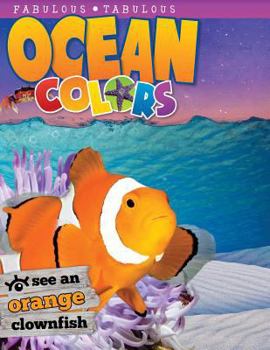 Board book Ocean Colors Book