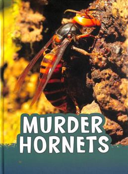 Hardcover Murder Hornets (Animals) Book