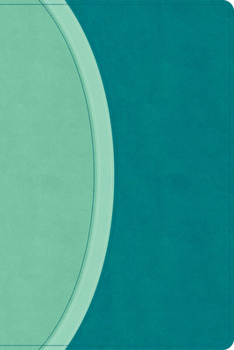 Imitation Leather CSB Rainbow Study Bible, Teal Leathertouch (Limited Edition) Book