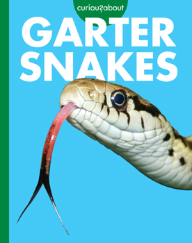 Library Binding Curious about Garter Snakes Book
