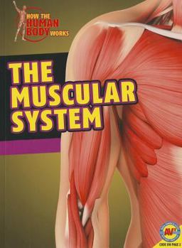 Paperback The Muscular System Book