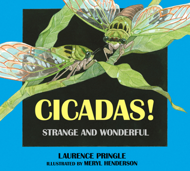 Hardcover Cicadas!: Strange and Wonderful Book