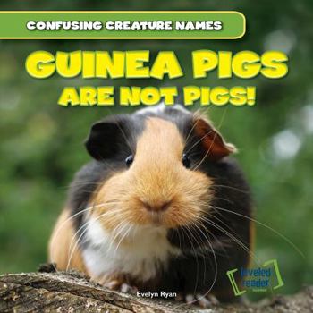 Paperback Guinea Pigs Are Not Pigs! Book