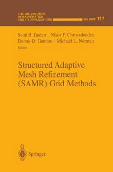 Structured Adaptive Mesh Refinement (SAMR) Grid Methods (The IMA Volumes in Mathematics and its Applications)