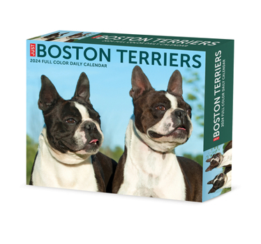 Product Bundle Boston Terriers 2024 6.2 X 5.4 Box Calendar Book