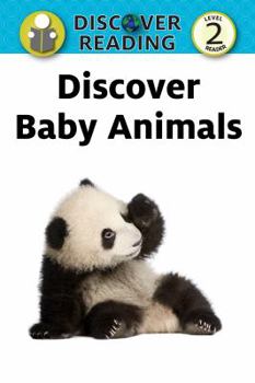 Paperback Discover Baby Animals Book