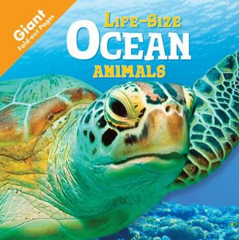 Board book Ocean Animals Book