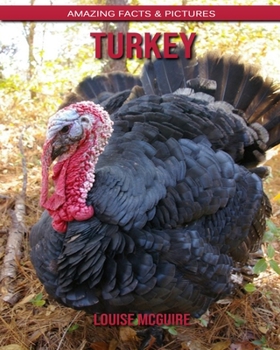 Turkey: Amazing Facts & Pictures