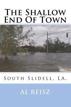 Paperback The Shallow End Of Town Book