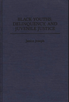 Hardcover Black Youths, Delinquency, and Juvenile Justice Book