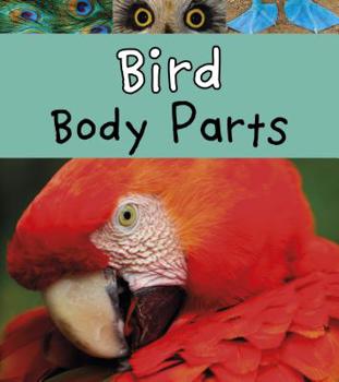 Hardcover Bird Body Parts Book