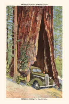 Paperback The Vintage Journal Car Driving through Redwood, California Book