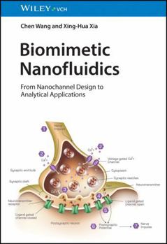 Hardcover Biomimetic Nanofluidics: From Nanochannel Design to Analytical Applications Book