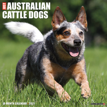 Calendar Just Australian Cattle Dogs 2021 Wall Calendar (Dog Breed Calendar) Book