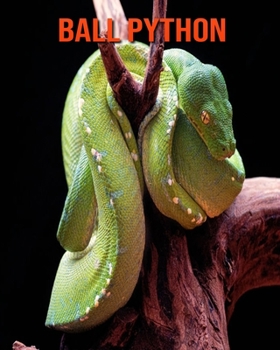 Paperback Ball Python: Amazing Photos & Fun Facts Book About Ball Python For Kids Book