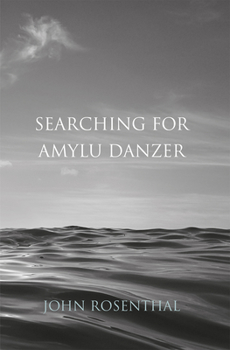 Hardcover Searching for Amylu Danzer Book