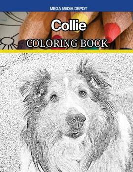 Paperback Collie Coloring Book