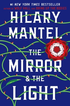 Hardcover The Mirror & the Light Book