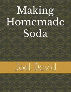 Paperback Making Homemade Soda Book